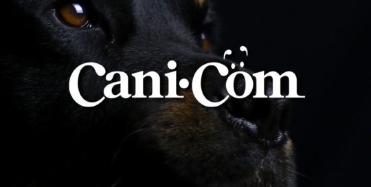 Cani.com