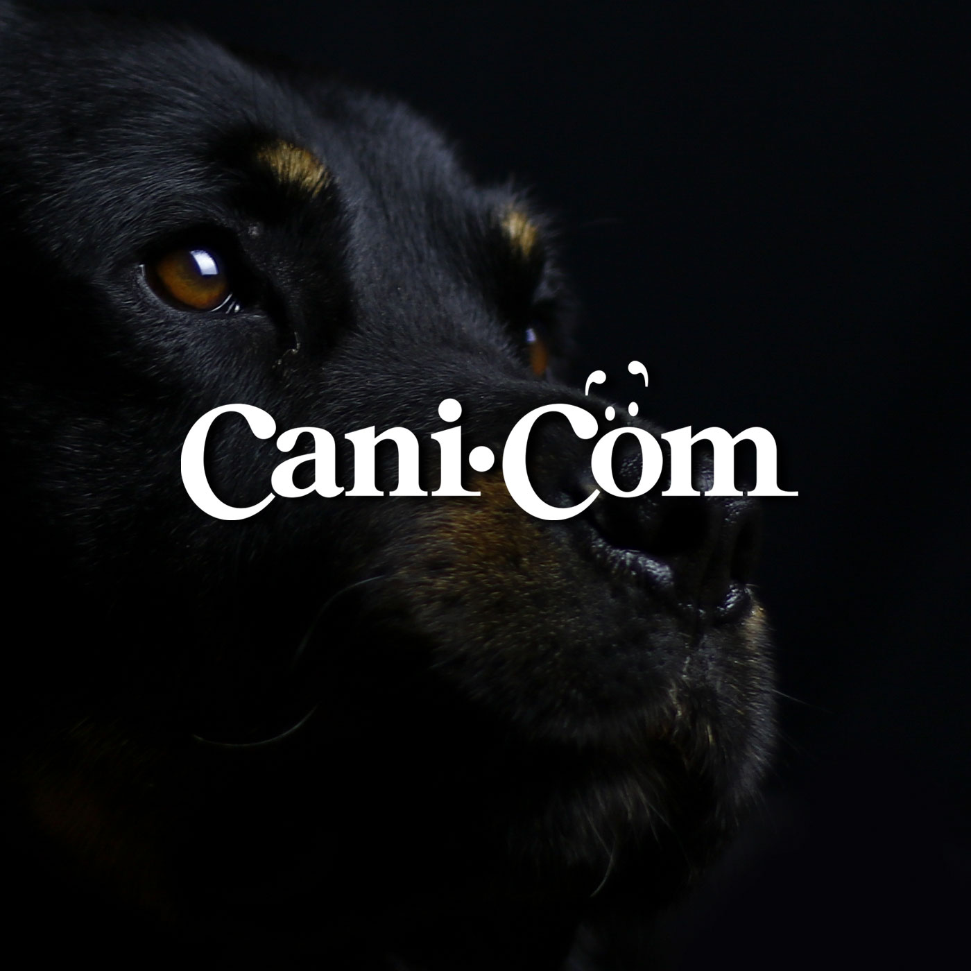Cani.com